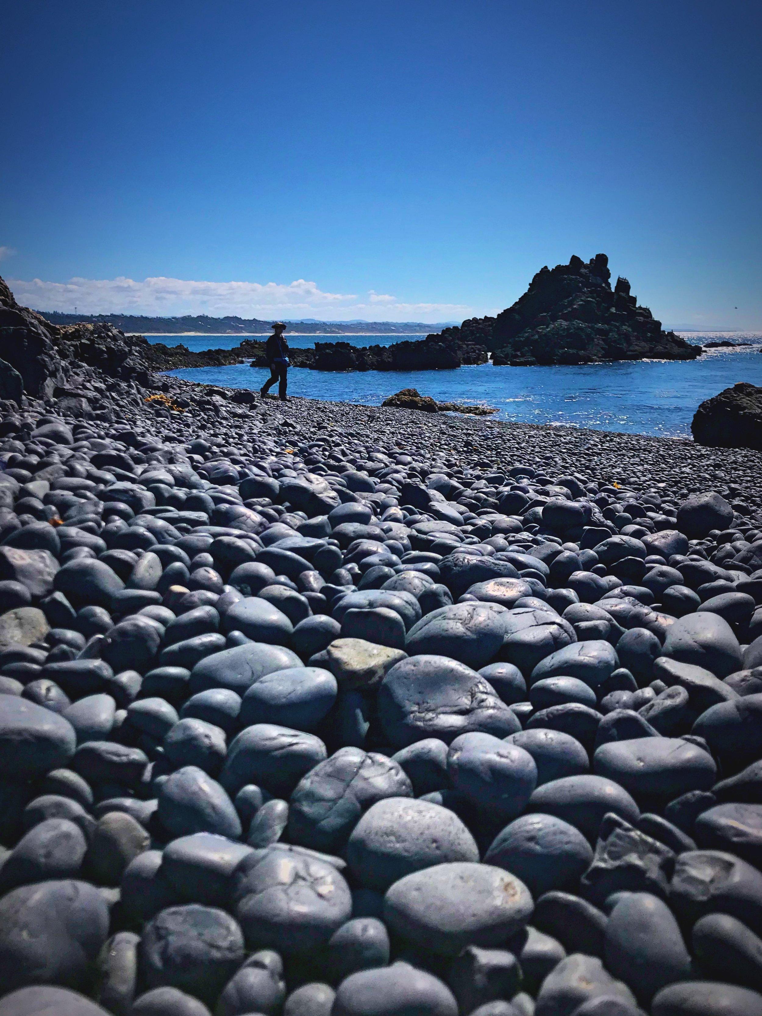 🏖️ 태평양 롱 비치(타이헤이요 롱 비치) 이미지 7